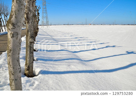 Manganji Temple Hasagi in winter (Niigata Prefecture) 129753280