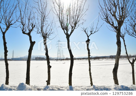 Manganji Temple Hasagi in winter (Niigata Prefecture) 129753286
