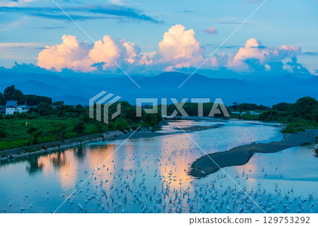 姐川河蒼鷺日落 姐川河蒼鷺日落 129753292