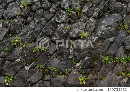 The stone wall of the old fortress of Gvara. The background is a stone wall 129753582