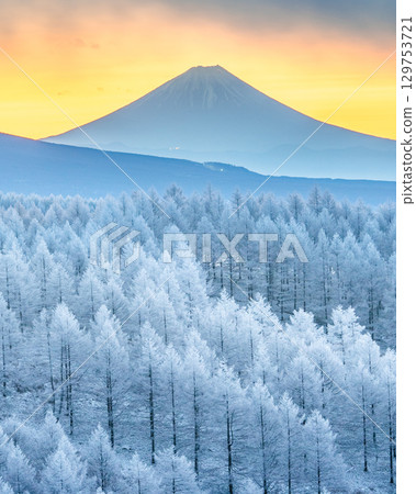 Mount Fuji Kirigamine frost 129753721