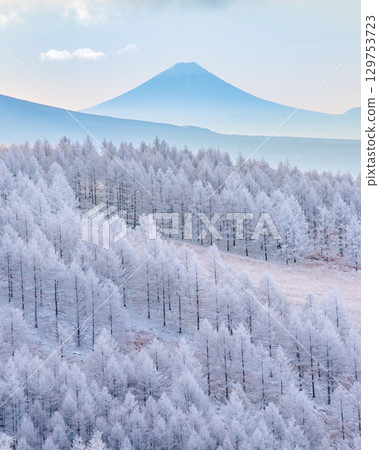 Mount Fuji Kirigamine frost 129753723