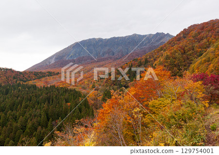 從鍵掛山口眺望大山和紅葉的壯麗景色 從鍵掛山口眺望大山和紅葉的壯麗景色 129754001