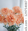 橙色康乃馨花 129754087