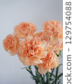 橙色康乃馨花 129754088