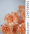 橙色康乃馨花束 129754091