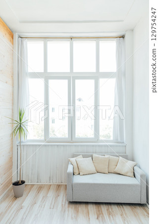 Interior of an empty room with a window and a sofa with a green plant 129754247