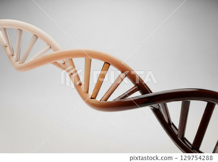 A DNA Helix with a Smooth Gradient of Human Skin Tones 129754288