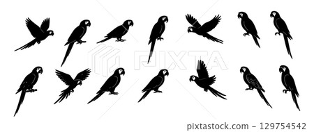 Set of Black silhouette of macaw parrot in various poses, isolated on white background. concept of bird, tropical wildlife, exotic pet, avian icon, logo, design element. 129754542