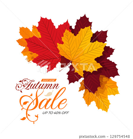 Vector Autumn Leaves Sale 129754548