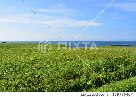 北海道根室市國道35號線京力橋至三古丹橋的風景 129756467