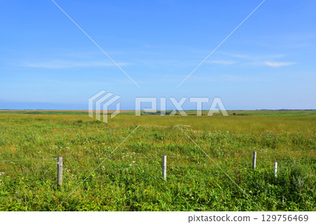北海道根室市國道35號線京力橋至三古丹橋的風景 北海道根室市國道35號線京力橋至三古丹橋的風景 129756469