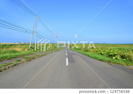 北海道根室市35號國道Sankotan橋至Nokkamap橋的風景 北海道根室市35號國道Sankotan橋至Nokkamap橋的風景 129756586