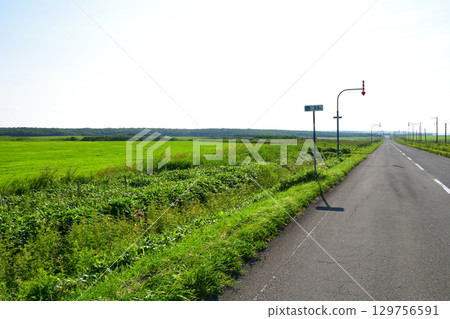 Scenery from Sankotan Bridge to Nokkamap Bridge on Route 35 in Nemuro City, Hokkaido 129756591