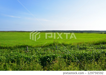 Scenery from Sankotan Bridge to Nokkamap Bridge on Route 35 in Nemuro City, Hokkaido Scenery from Sankotan Bridge to Nokkamap Bridge on Route 35 in Nemuro City, Hokkaido 129756592