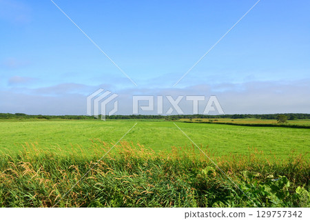 北海道根室市35號國道Nokkamap橋至Kotankeshi橋的風景 129757342