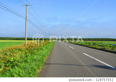 北海道根室市35號國道Nokkamap橋至Kotankeshi橋的風景 129757351