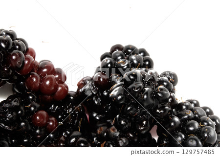 Close up of blackberries fruit on a white background 129757485
