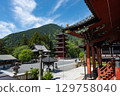 Mt. 129758040