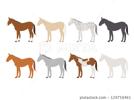 Horse breeds vector illustration set Horse breeds vector illustration set 129758461