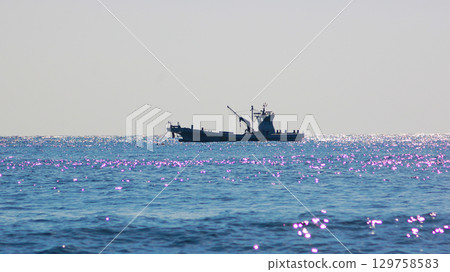 在南伊豆町外海捕魚的漁船 在南伊豆町外海捕魚的漁船 129758583