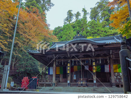 Autumn foliage scenery near the main hall, the greatest power spot at Daiyuzan Saijoji Temple 129758642