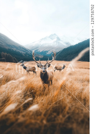 Majestic deer standing in golden field with snowy mountains in background 129758702