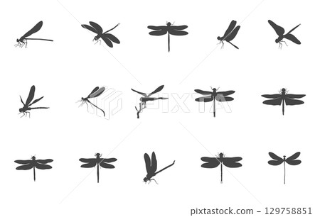 Dragonfly silhouette, Dragonfly svg, Dragonfly vector illustration, Dragonfly icon, Dragonfly vector, Dragonfly clipart. Dragonfly silhouette, Dragonfly svg, Dragonfly vector illustration, Dragonfly icon, Dragonfly vector, Dragonfly clipart. 129758851