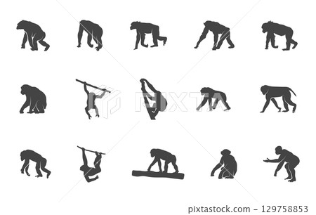 Chimpanzee silhouette, Chimpanzee svg, Chimpanzee vector, Chimpanzee clipart, Chimpanzee vector illustration. Chimpanzee silhouette, Chimpanzee svg, Chimpanzee vector, Chimpanzee clipart, Chimpanzee vector illustration. 129758853