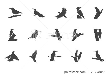 Woodpecker Svg, Woodpecker Silhouette, Woodpecker bird silhouette, Woodpecker bird svg, Woodpecker clipart. 129758855