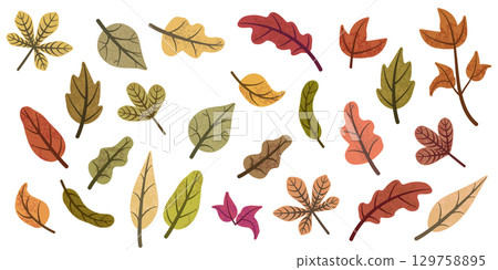 Different colorful autumn leaves set 129758895