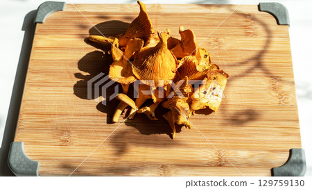 Freshly harvested golden chanterelle mushrooms arranged on wooden cutting board, showcasing unique texture and vibrant color, culinary use and gourmet dishes, Cantharellus cibarius, girolle Freshly harvested golden chanterelle mushrooms arranged on wooden cutting board, showcasing unique texture and vibrant color, culinary use and gourmet dishes, Cantharellus cibarius, girolle 129759130