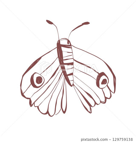 Minimalist hand drawn moth with ornate wings line art for boho tattoo sticker stationery and gift projects Vector illustration 129759138