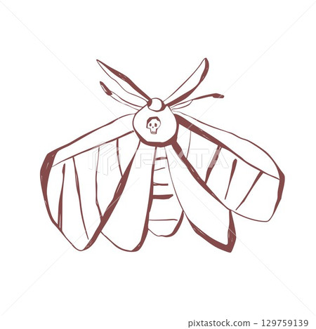 Mystical moth with skull detail hand drawn insect line art for tattoo design print decoration and boho aesthetic Vector illustration Mystical moth with skull detail hand drawn insect line art for tattoo design print decoration and boho aesthetic Vector illustration 129759139