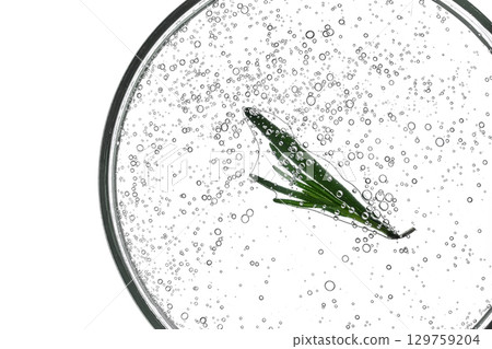 A sprig of rosemary in cosmetic gel bubbles. 129759204
