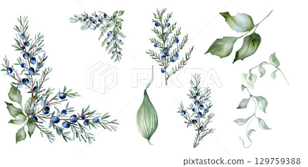 Juniper and holly branches watercolor foliage clipart isolated on white. Corner border, dusty green leaves hand drawn botanical set for templates, wedding invitations, and natural themed backgrounds. Juniper and holly branches watercolor foliage clipart isolated on white. Corner border, dusty green leaves hand drawn botanical set for templates, wedding invitations, and natural themed backgrounds. 129759388