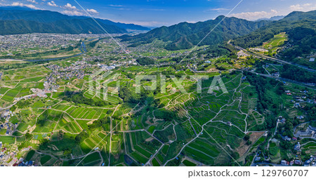 Panoramic view of Obasute's rice terraces and townscape 129760707