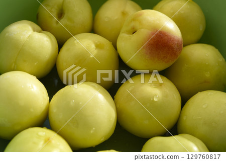 A ripe yellow plum in a green basin. Juicy fruit. Ripe plums in drops of water. 129760817