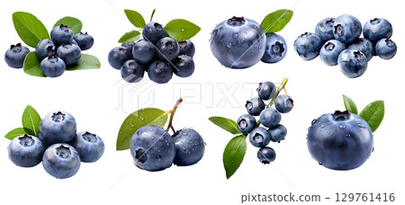 Blueberry Blueberries Bilberry Bilberries, many angles and view side top front sliced halved bunch cut isolated on transparent background cutout, PNG file. Mockup template for artwork graphic design Blueberry Blueberries Bilberry Bilberries, many angles and view side top front sliced halved bunch cut isolated on transparent background cutout, PNG file. Mockup template for artwork graphic design 129761416