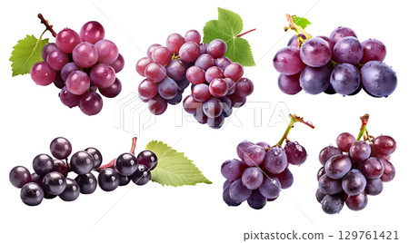 Red purple grapes grape, many angles and view side top front group bunch pile cut isolated on transparent background cutout, PNG file. Mockup template for artwork graphic design 129761421