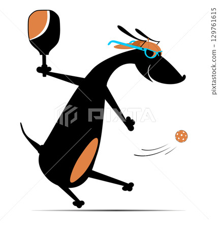 Cute dog playing pickleball.  Cartoon dachshund plays pickleball. Isolated on white background 129761615