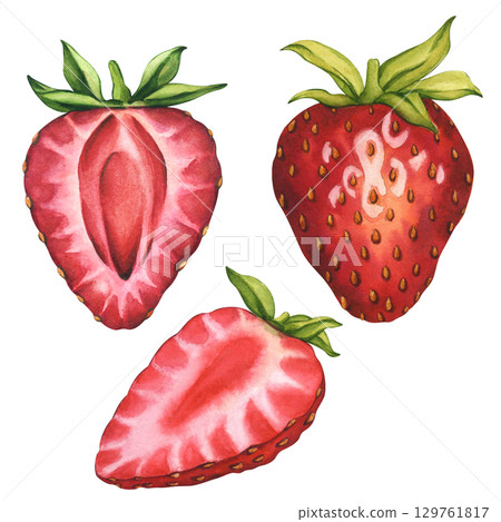A set of ripe and juicy strawberries. Whole strawberries and halves of berries. watercolor illustration Strawberries with cut in half isolated. Ripe sliced strawberries for tea, jam or cosmetics label 129761817