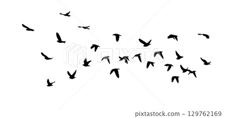 Flying birds silhouette flock. hand drawing. Not AI. Vector illustration Flying birds silhouette flock. hand drawing. Not AI. Vector illustration 129762169