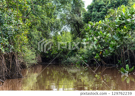 Boat trip on the Igarape do Urubu River, Delta das Americas to Ilha das Canarias, Brazil. South America Boat trip on the Igarape do Urubu River, Delta das Americas to Ilha das Canarias, Brazil. South America 129762239