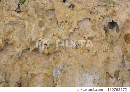 Funabori Utaki (Northern Castle City, Okinawa Prefecture) 129762275