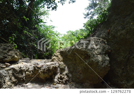 叢林陽光（Saiku Utaki /沖繩縣南城市） 129762278