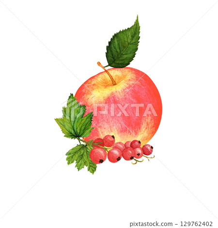 Red ripe apple and currant berries with lush green leaves, watercolor illustration on white background Red ripe apple and currant berries with lush green leaves, watercolor illustration on white background 129762402