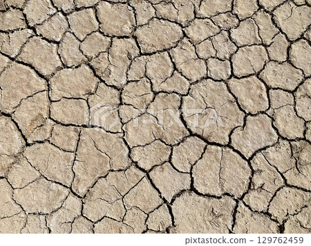 Cracked Drought Soil Texture - Dry Earth Background from Desert Environment 129762459