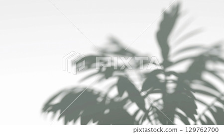 Abstract shadow fern branches on wind background 129762700