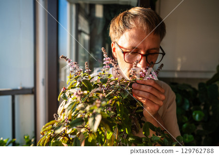 Man enjoying basil scent at home garden, herb growing of plant lover. Aroma appreciation of herbs Man enjoying basil scent at home garden, herb growing of plant lover. Aroma appreciation of herbs 129762788